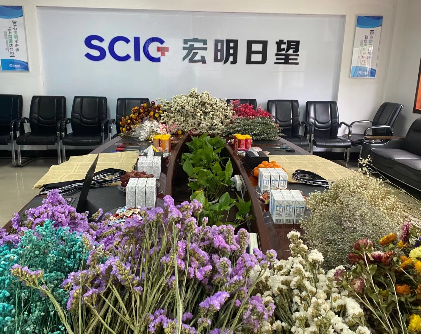 澳洲10_澳洲10（中国）,宏明日望,株洲电子科技,湖南电容器,株洲电容器,电容器